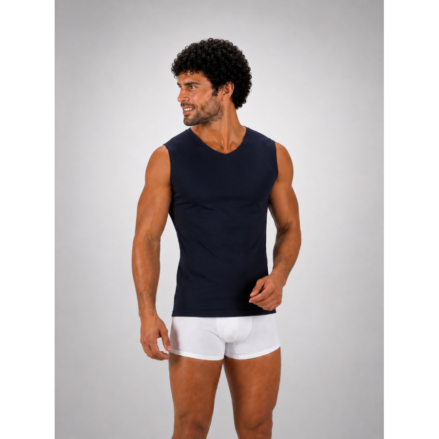 ELVIO